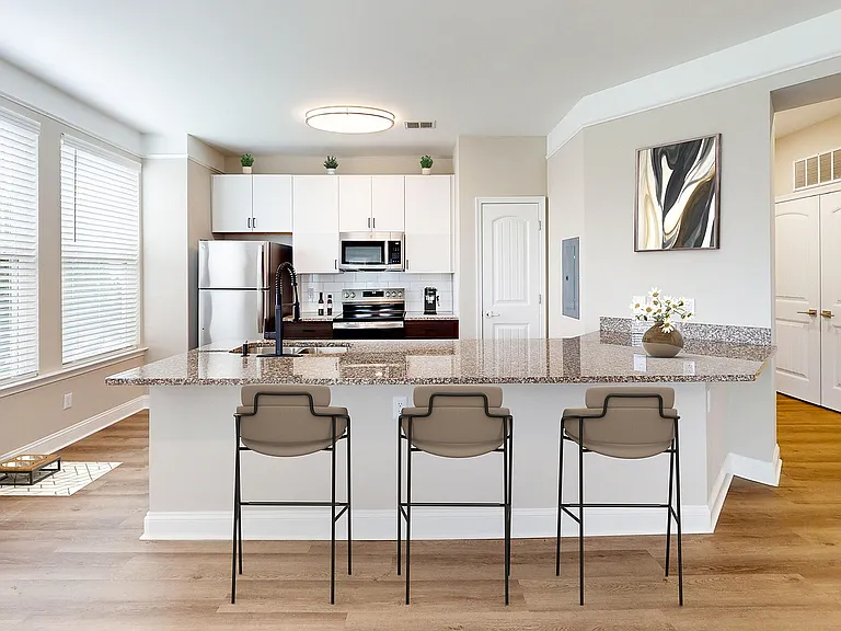 Newly Renovated Kitchen with Stainless Steel Appliances