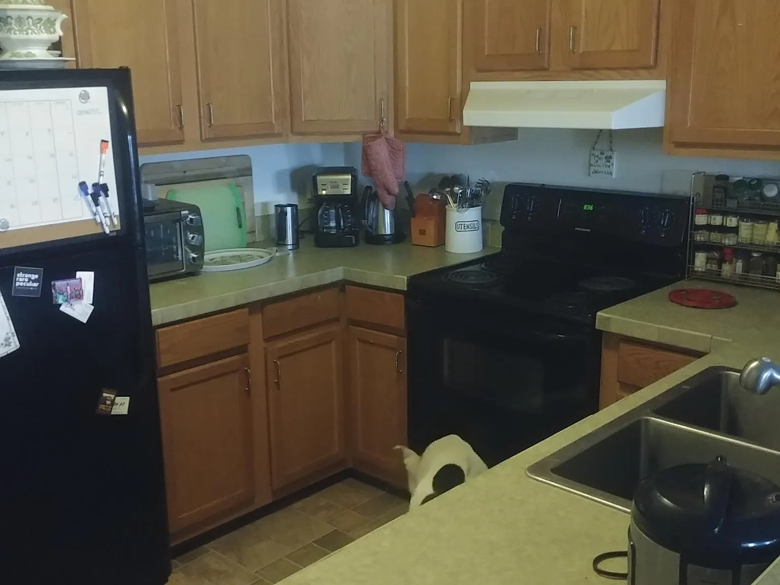 4 bed, 1595 sqft, $2,850 — Photo 4