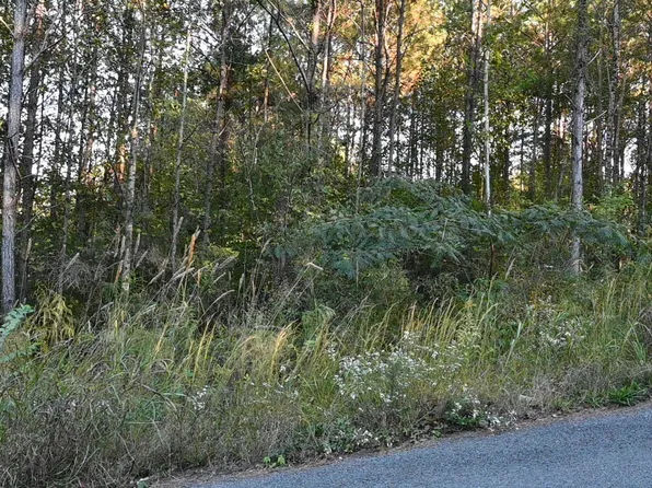 0 Willowbrook Ct Lot 21, Cleveland, AL 35049