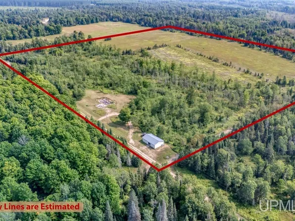 11008 N River Ln, Cornell, MI 49818