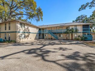 1113 Ohio Ave, Dunedin, FL 34698