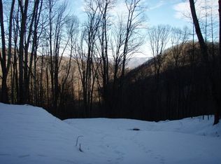 Buncombe Cove Rd, Waynesville, NC 28785