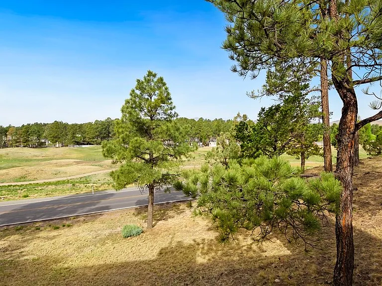 604 White Mountain Dr #702 — Photo 24