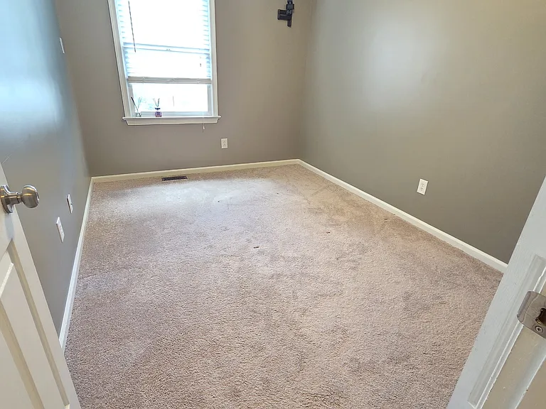 105 Bucktail Run — Photo 17