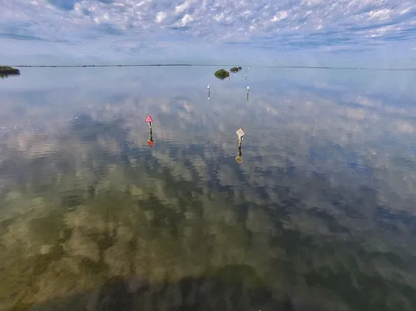 62 Gulfwinds Dr, Palm Harbor, FL 34683