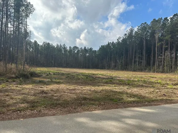 LOT 37 Nesom Rd, Denham Springs, LA 70706