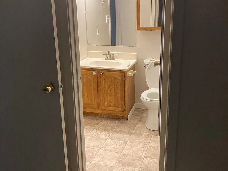 12306 Tigers Eye Ct — Photo 19
