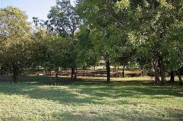 14511 Sandifer St — Photo 3