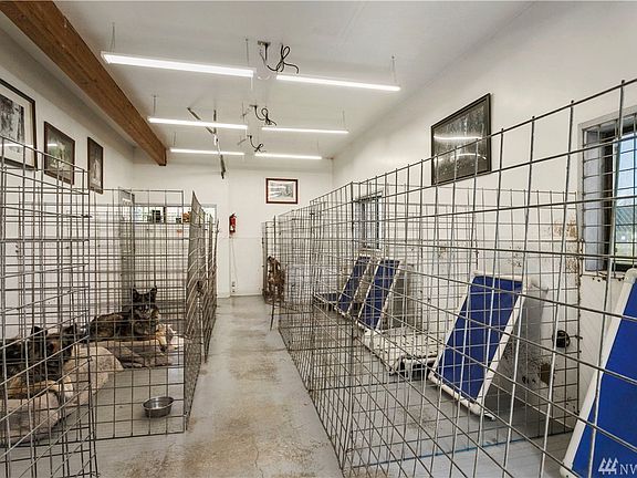 Hey pups!  Waiting for their turn in the dog runs!