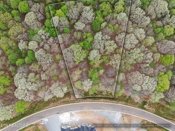 289 Flip Flop Way, Loudon, TN 37774