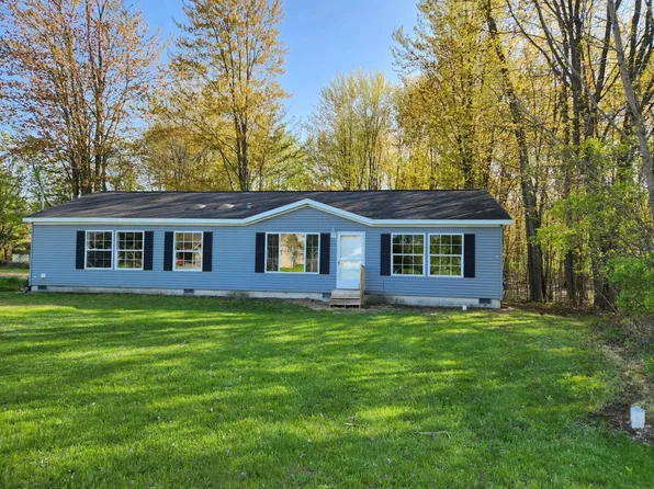 336 E Jackson St, Coleman, MI 48618
