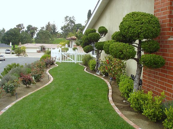5th image of 12226 Prado Way