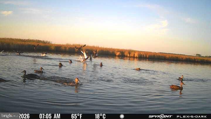 1st image of 3241 Robbins Rd