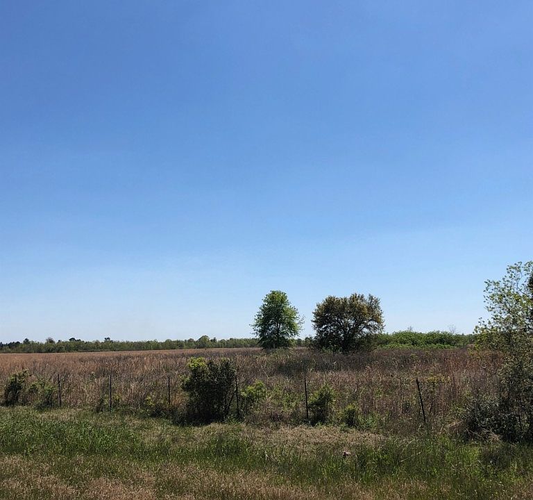 2nd image of Lake St