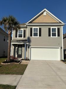 1048 Sago Palm Ct, Mount Pleasant, SC, 29466