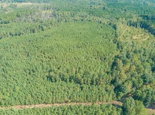 Skipwith Rd, Boydton, VA 23917