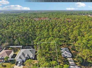 7 Riddle Pl LOT 9, Palm Coast, FL 32164
