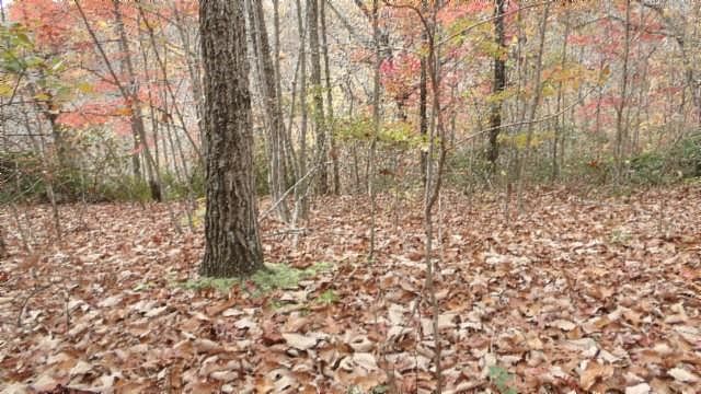 1st image of LOT 349 Drew Ct