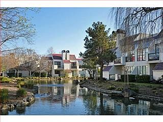 2nd image of 213 Shorebird Cir