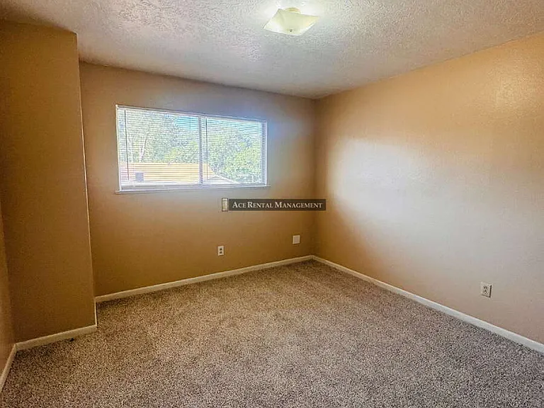 331 Pinchback Rd — Photo 21