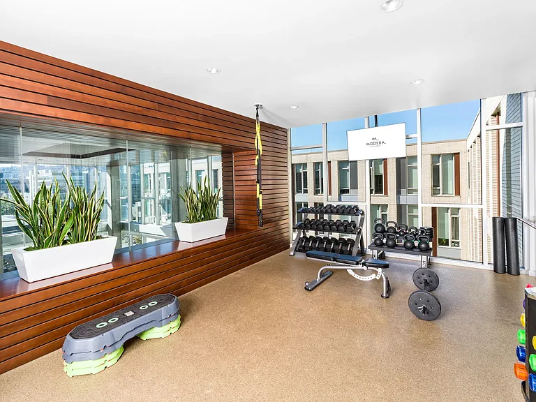 A light-filled fitness studio with free weights, functional training zones, and floor-to-ceiling windows that bring energy into every workout.