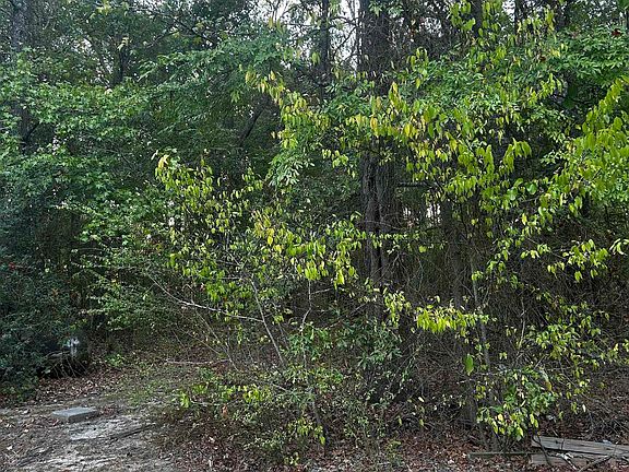 5th image of Airlite Rd