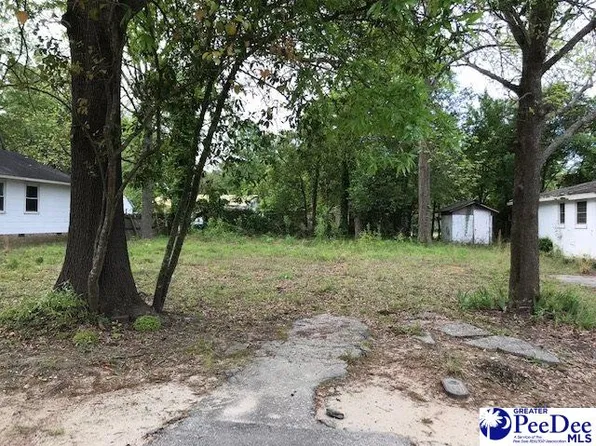 421 Brewer Ave, Hartsville, SC 29550