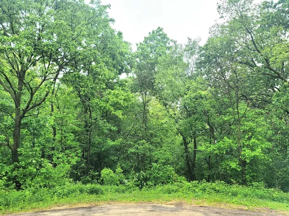 4 Hillside Ct, Galena, IL 61036