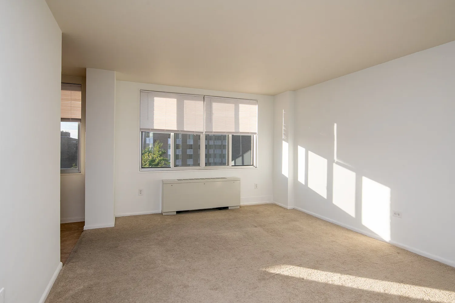 Studio, 463 sqft, $1,495 — Photo 1