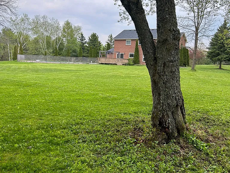 8 Elite Rd — Photo 15