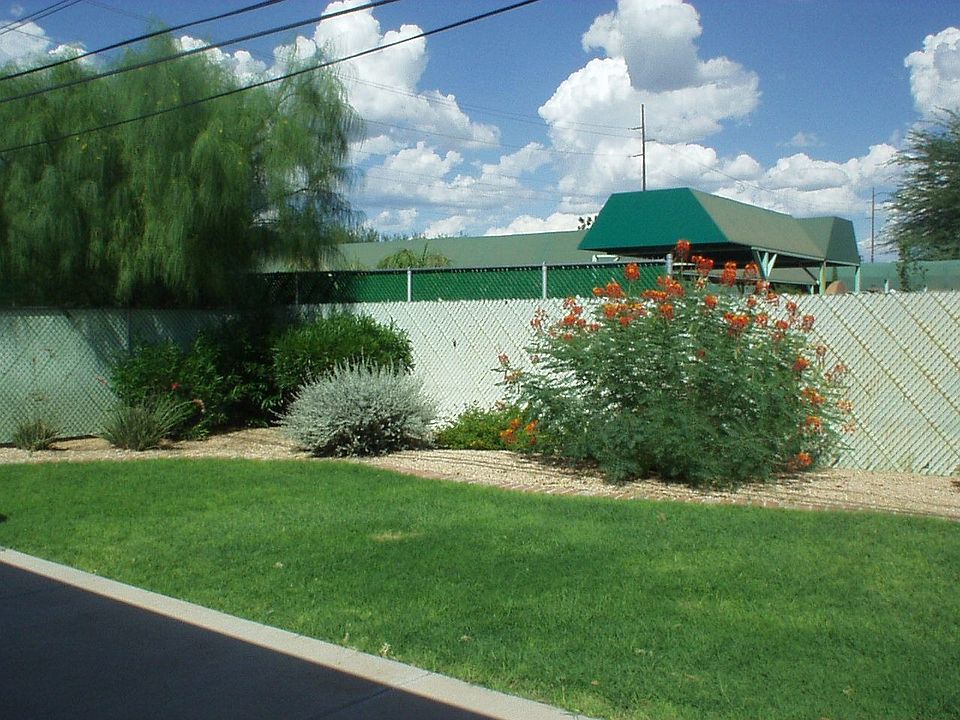 Beautiful Back Yard