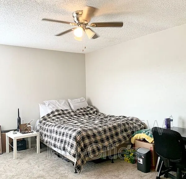 2623 Piedras Dr — Photo 12