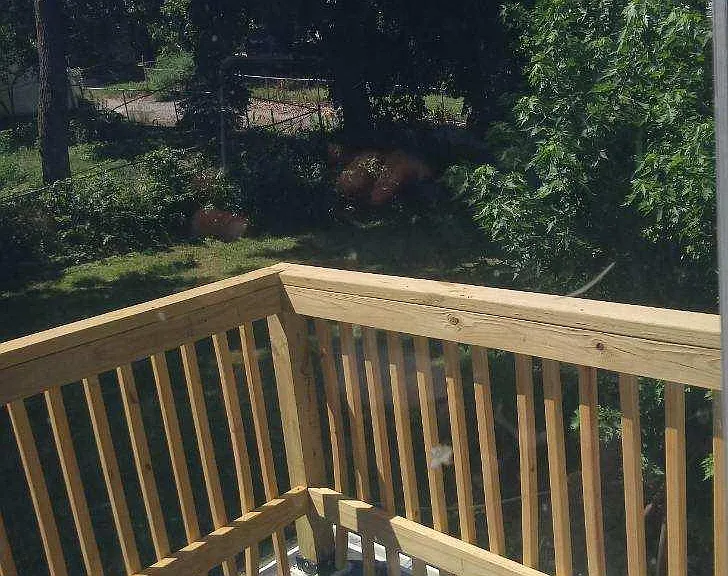 3416 Lafayette Ave — Photo 11