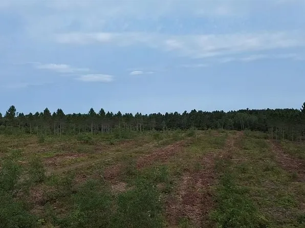 21XX Ellison Lake Road, Barnes, WI 54873