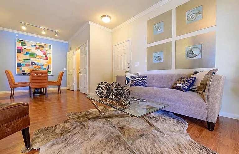 Parkway Grande Living Room Area, San Marcos, Texas