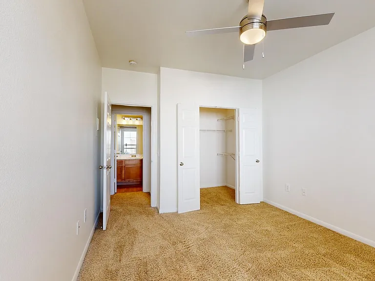 Spacious apartment bedroom with large closet and plush carpet flooring.