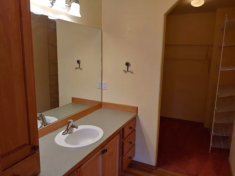 173 E Jeffrey Pine Ln — Photo 15