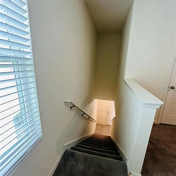 10624 Penny Gale Loop — Photo 9
