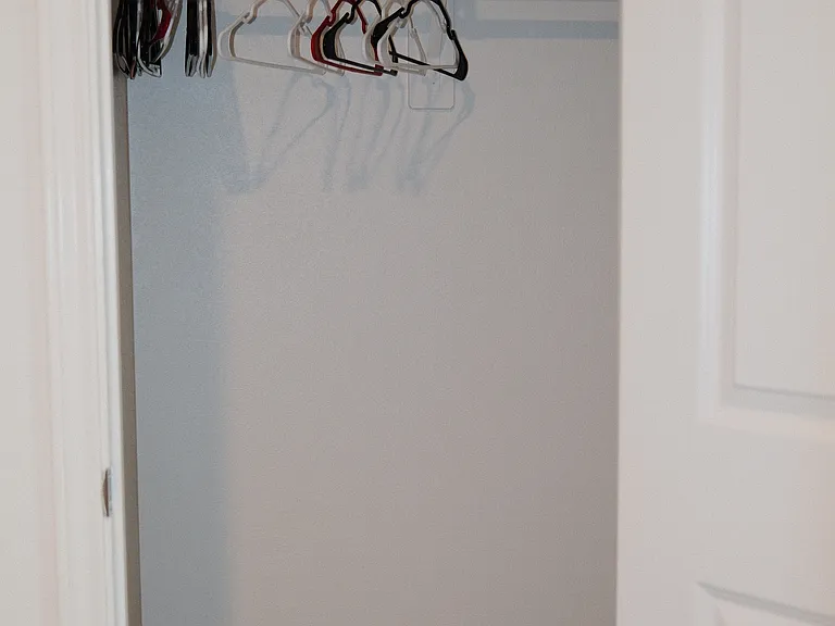 30931 Brightwell Bnd — Photo 92