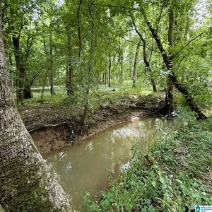 0 Poplar Trl #1, Warrior, AL, 35180