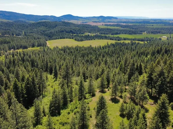 Smokey Bear Ln, Kendrick, ID 83537