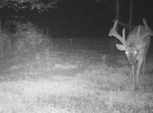 61 Two Mile Rd, Shinglehouse, PA 16748