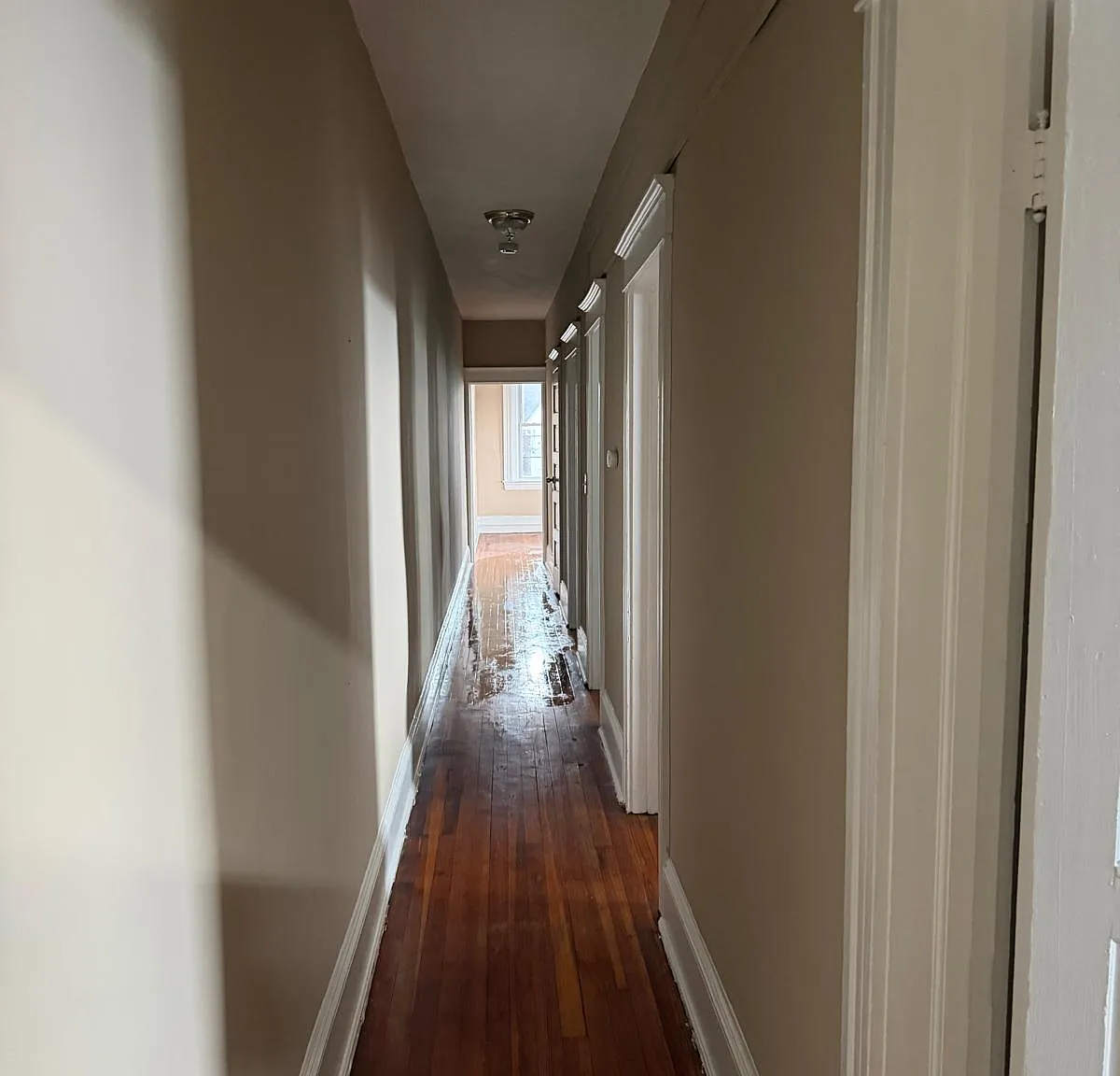 2 bed, 999 sqft, $1,500 — Photo 3