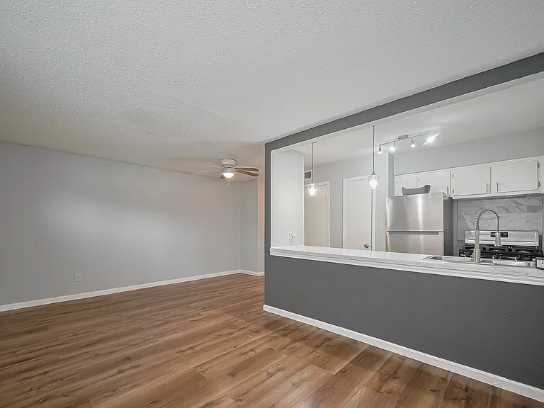 Kitchen and Living room