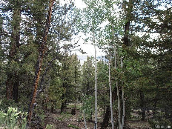 3rd image of 1881 Bonell Dr