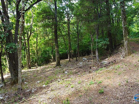 3rd image of 2216 Governors Bend Rd SE