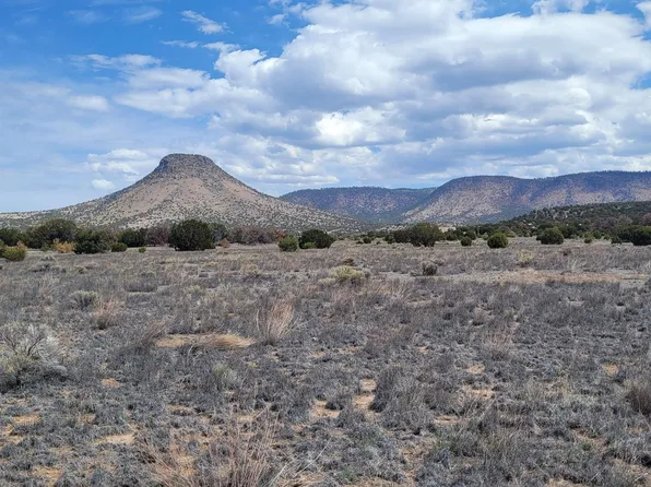 46 Southern Trl #46, Datil, NM 87821