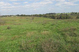 2nd image of County Road 811 Rd
