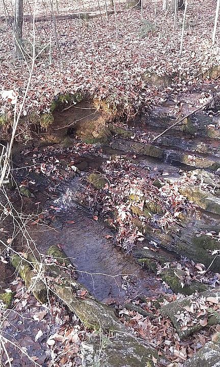 2nd image of 143 Hogg Ln