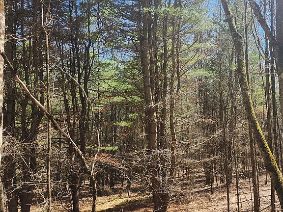 3rd image of 114 & 234 Tarbell Hill Rd